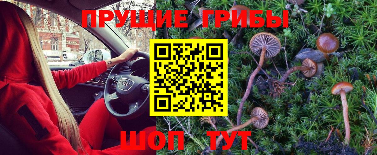 Галлюциногенные грибы Psilocybine cubensis  купить наркотики цена  Алушта  Галлюциногенные грибы мухоморы  Вход с VPN 