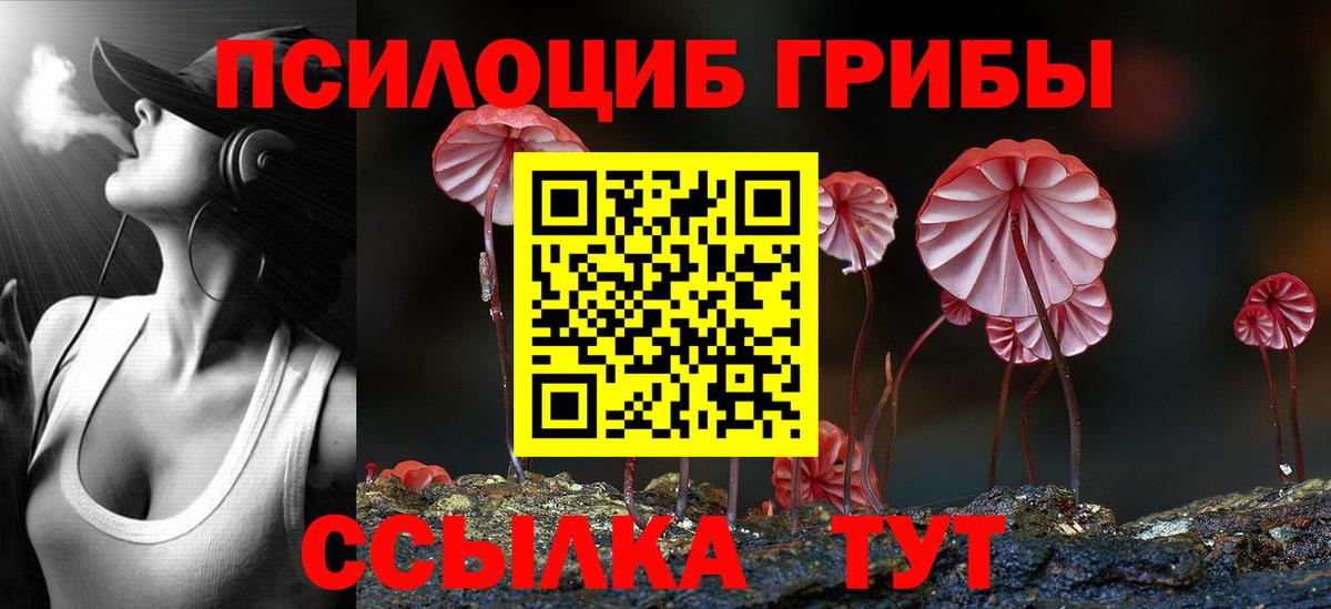 Галлюциногенные грибы Cubensis Алушта